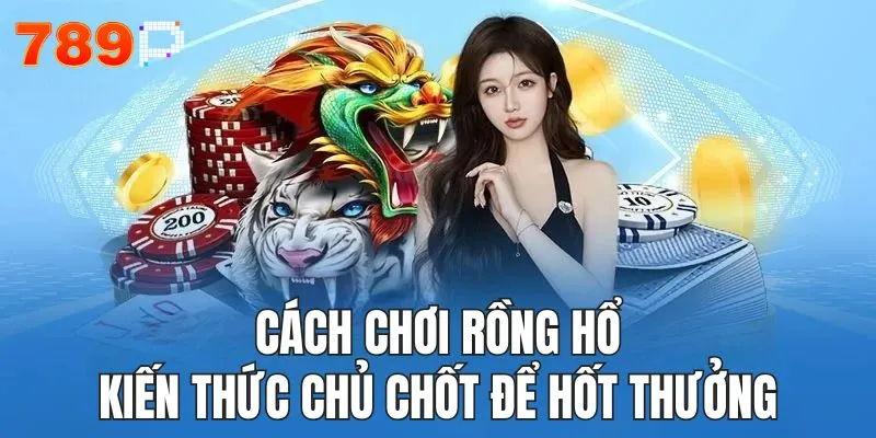 Cách chơi rồng hổ - Kiến thức chủ chốt để hốt thưởng